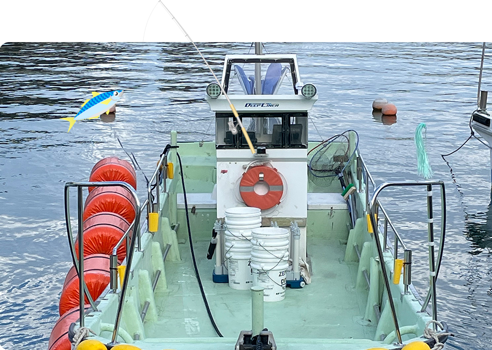 大人から子供まで宮古の魚を釣り上げよう